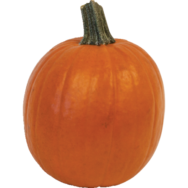 Pie Pumpkin
