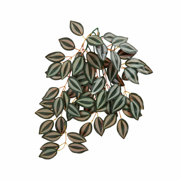 Thrive Hanging Vine Terrarium Plant - Green