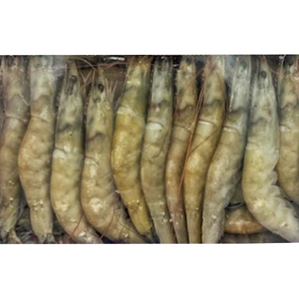 12-18 Raw Shrimp in a Box