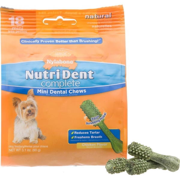 nutri dent mini dental chews