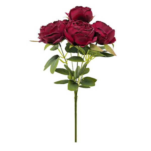 Ashland Rose Bush