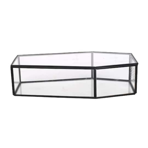 Ashland Clear Glass Coffin Terrarium with Lid