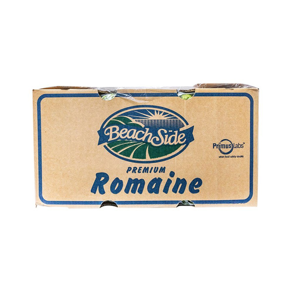 Whole Romaine Lettuce - 24 ct