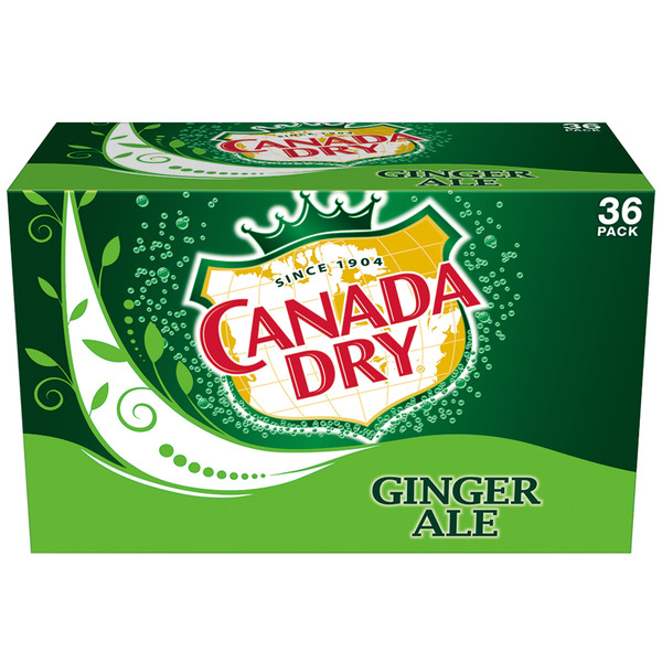 Ginger Ale, 36 X 12 fl oz