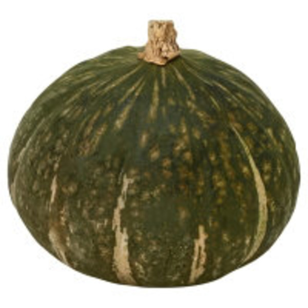 Buttercup Squash