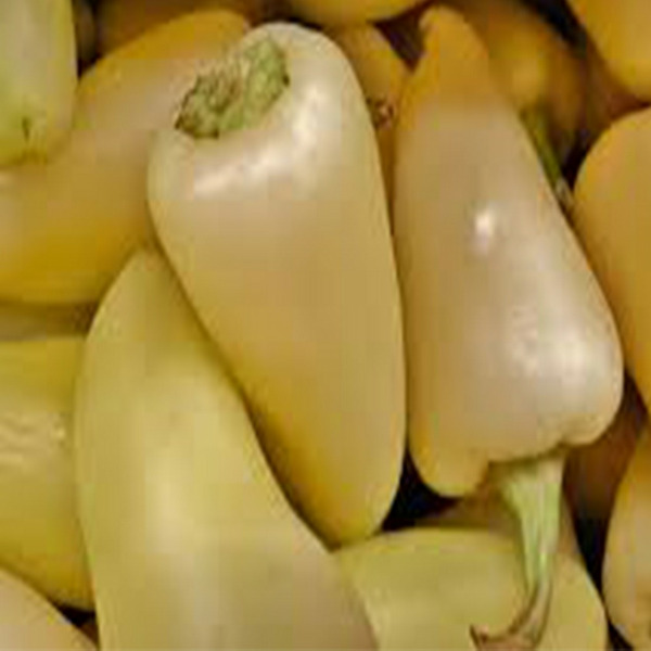 White Bell Pepper