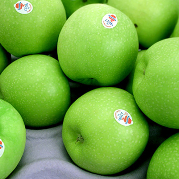 Green Dragon Apple