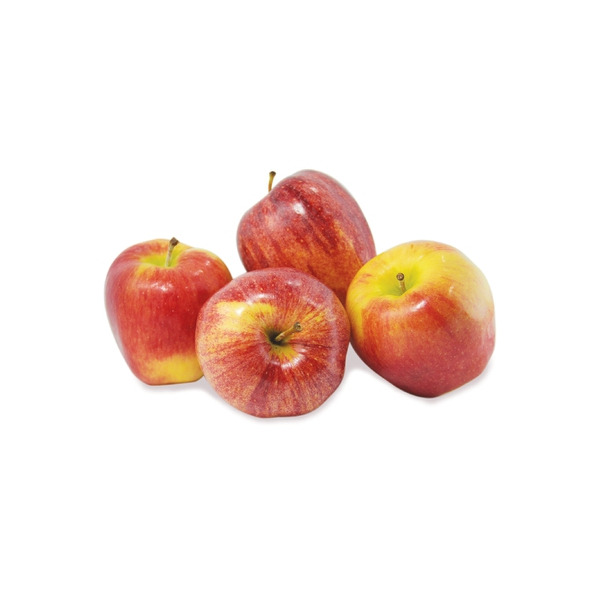 Gala Apple Bag