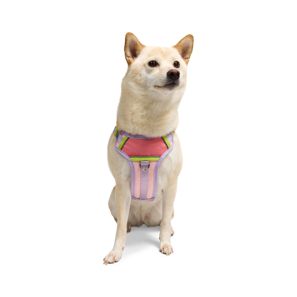 Youly Adventure Reflective Harness for Dog, Small - Pink