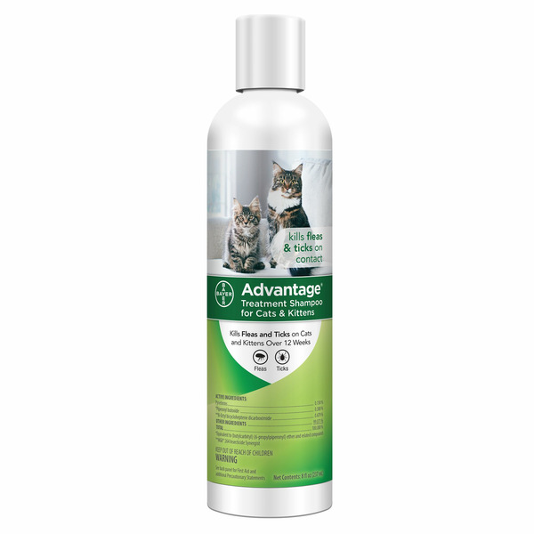 Elanco Treatment Shampoo for Cats & Kittens