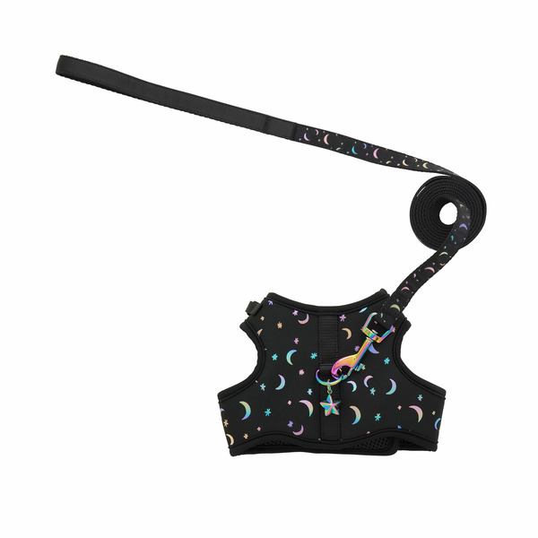 Whisker City Moon Kitten Harness & Leash Combo Set, Large - Black