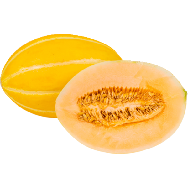 French Canary Melon