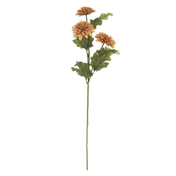 Ashland Toasted Daisy Stem
