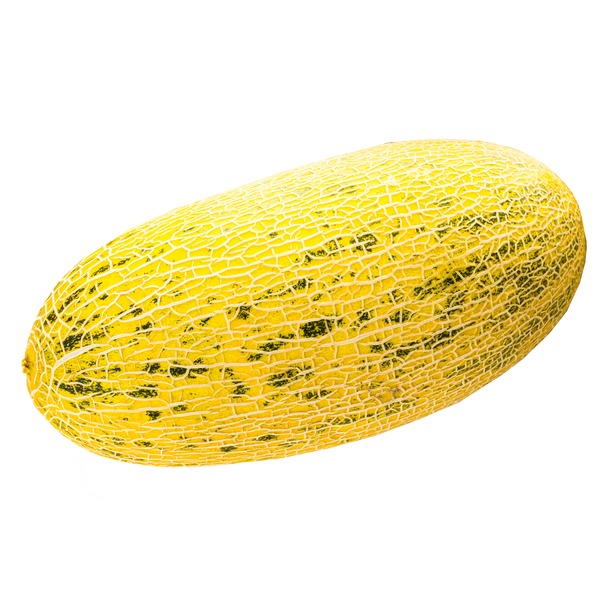 Image result for Persian melon