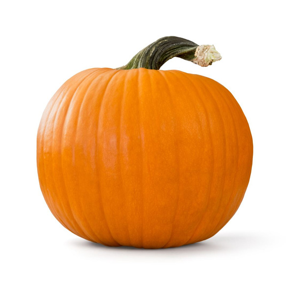 LARGE PUMPKINS