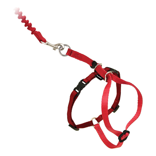 PetSafe Come With Me Kitty Harness and Bungee Leash, Small, Red