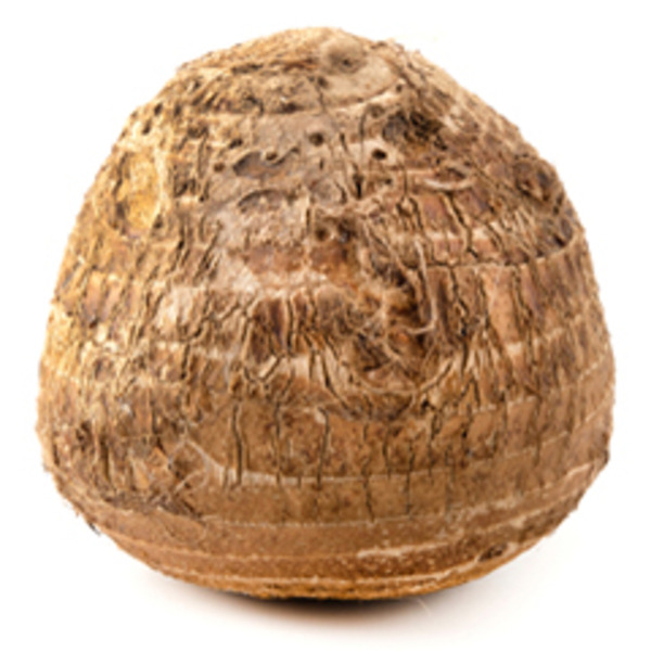 Malanga (Yautia)