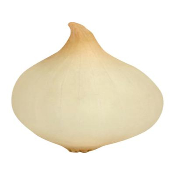 Green Onions (Scallions)