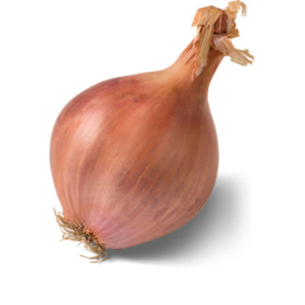 Shallots Onions