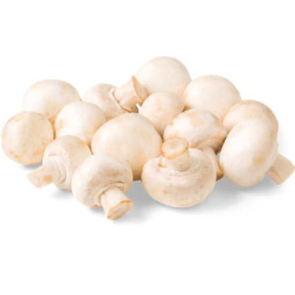White Mushroom