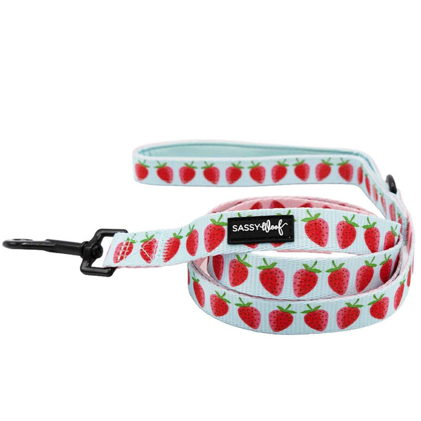 Sassy Woof I Woof You Berry Much Dog Leash