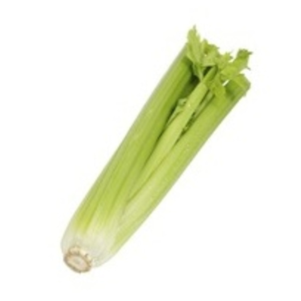 Celery