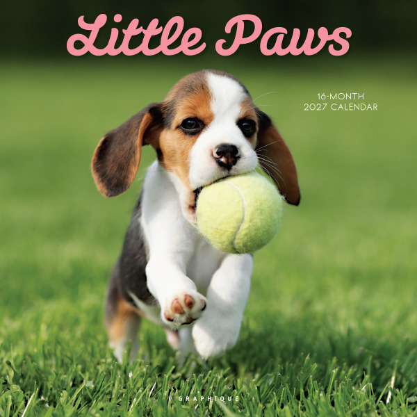 Graphique Little Paws Animals 2027 Monthly Wall Calendar, 12 x 12 in