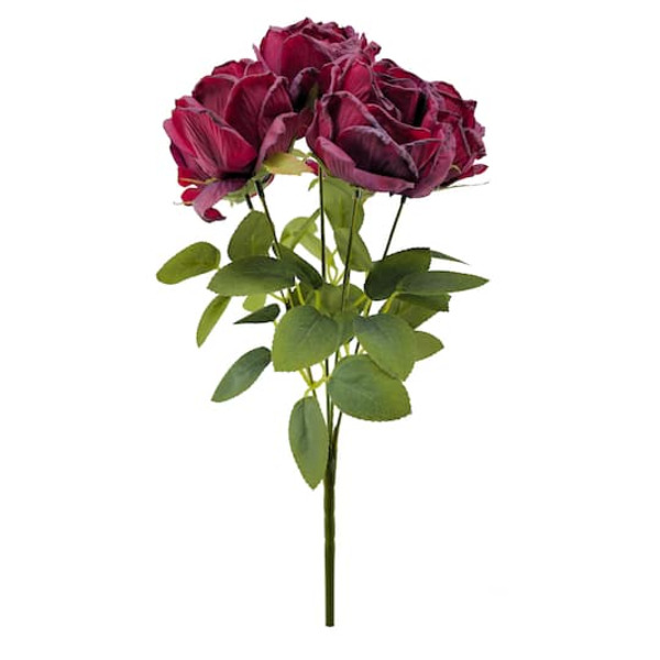 Ashland Rose Bush