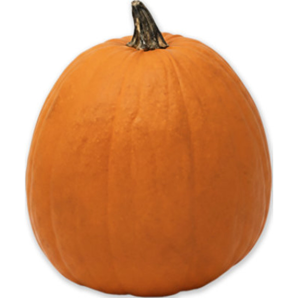 Jack O Lantern Ea