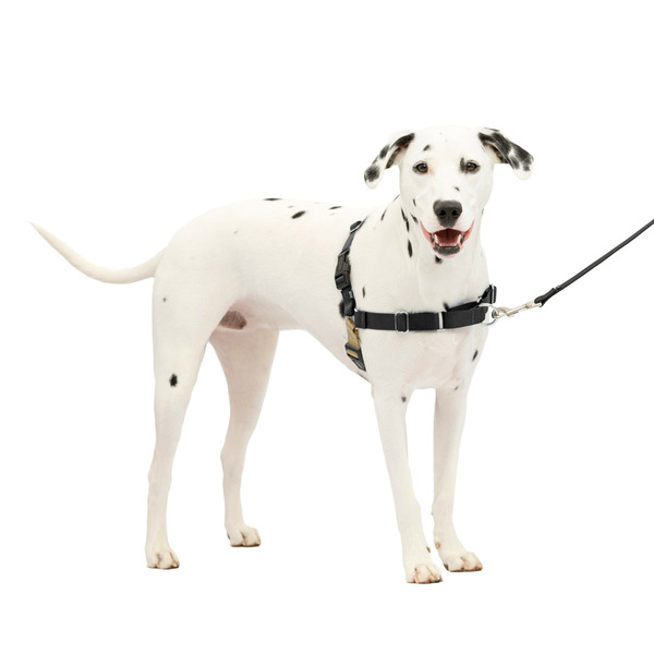 PetSafe Easy Walk Harness, No Pull Dog Harness, Medium/Large, Black