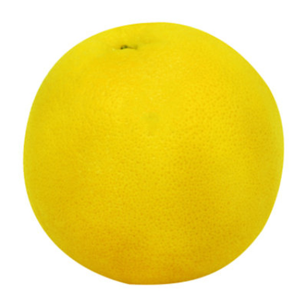 White Grapefruit