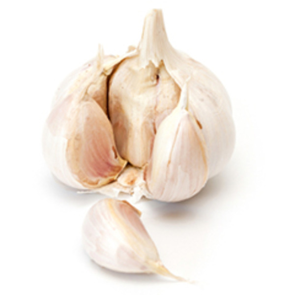 Garlic