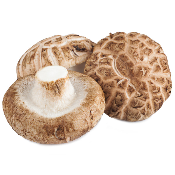 Shiitake Mushroom