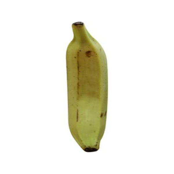 Loose Plantain