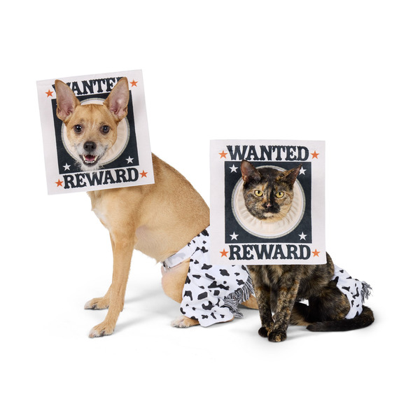 Thrills & Chills Dog & Cat Wanted Sign Costume, Medium