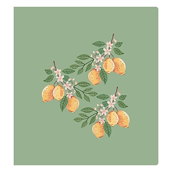 Blue Sky Letterpress Lemons 1-1/4" 3-Ring Binder