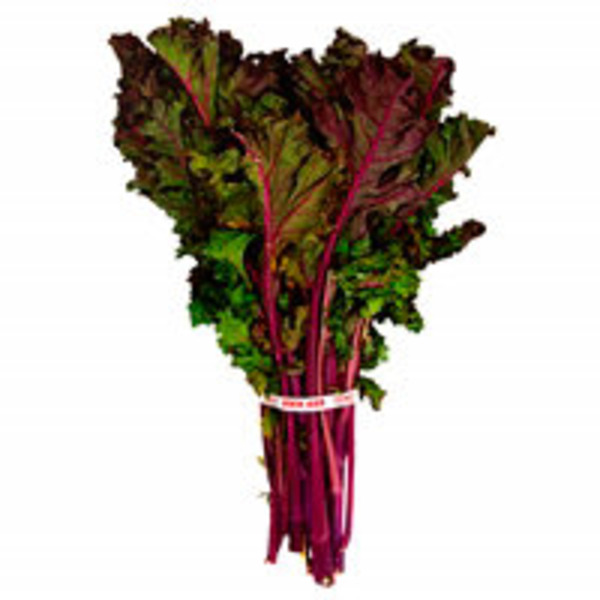 Organic Red Kale Greens