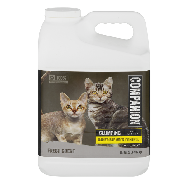 Food Lion Companion Scoopable Cat Litter Scented Same-Day Delivery