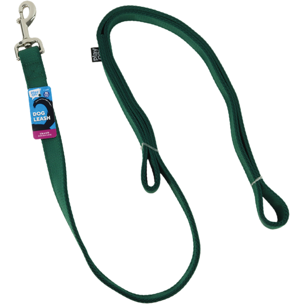 Play On Two Ply Dog Leash, 1 in x 6 ft - Basic Green