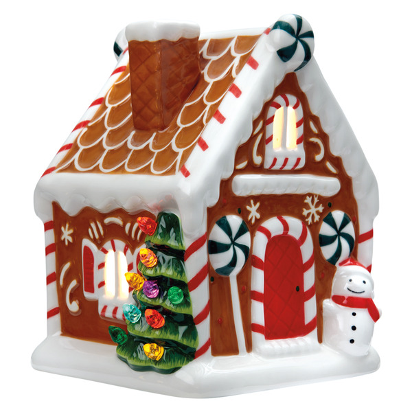 ALDI Merry Moments Gingerbread House LED Nostalgic Village House SameDay Delivery or Pickup