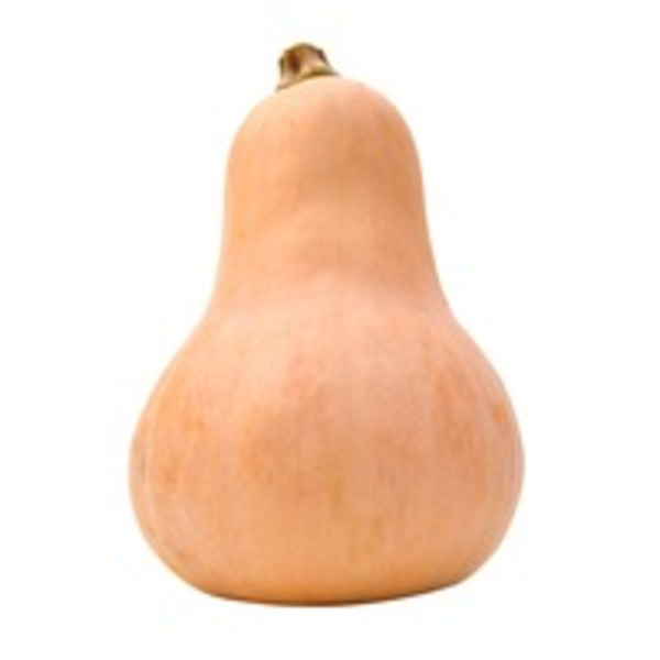 Butternut Squash