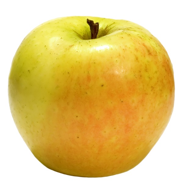 Crab Apple