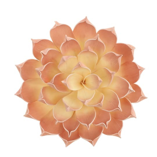 Michaels Ashland Peach Decorative Succulent Same-Day Delivery | Instacart