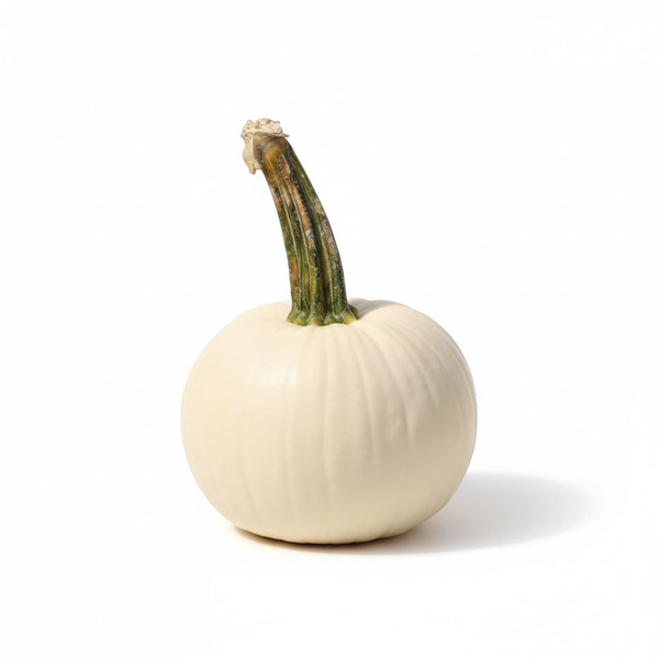 Eco Forest Fresh pumpkins used for pies, decorations and jack-o-lanterns.