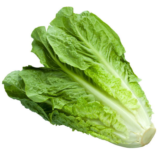 Romaine Lettuce