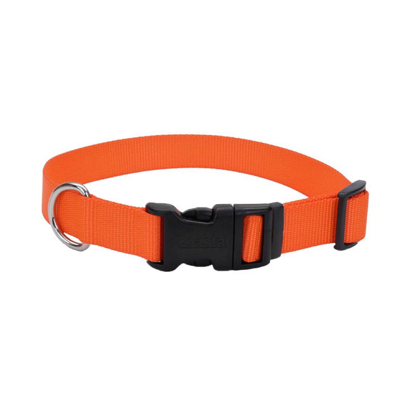 Coastal Pet Original Neon Collar, Large