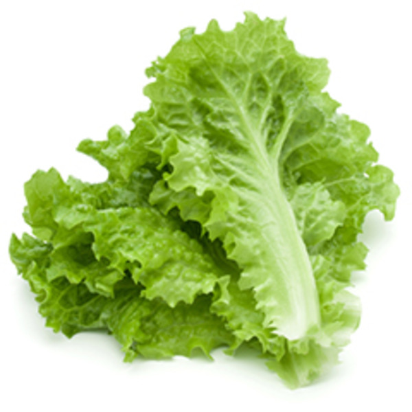 Cardenas Markets GREEN LEAF LETTUCE