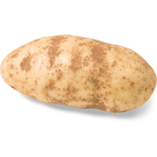 Extra Large Bakers Russet Potatoes