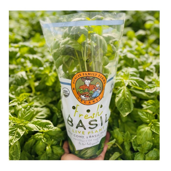 Duncan Family Farms Organic Living Basil