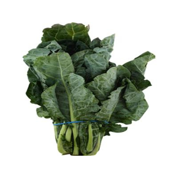 Collard Greens Bunch